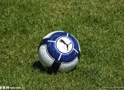 我校体育教,学中心开展,首届教师技,安博体育平台,安博体育官方网站,安博体育登录入口,安博体育app下载