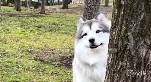 安博体育,资讯,安博体育平台,安博体育平台,安博体育官方网站,安博体育登录入口,安博体育app下载