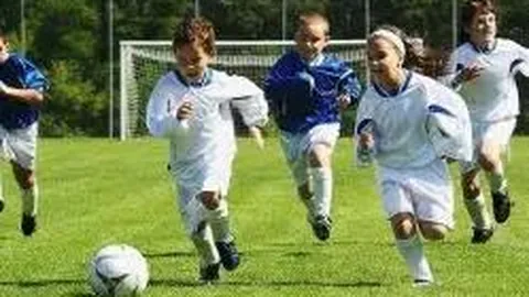 安博体育 产品 131750 z2s