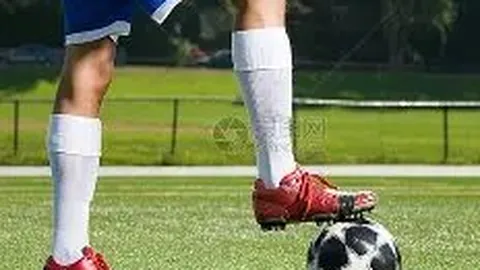 安博体育 资讯 132904 5cw