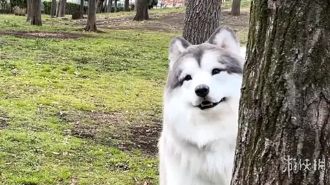 安博体育 资讯 105026 xg5