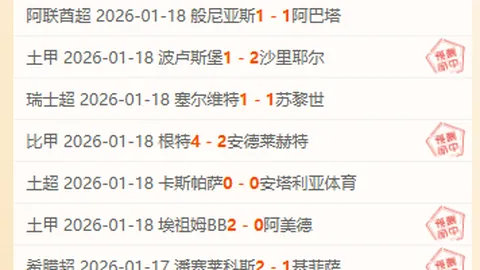 杨佳敏丹麦羽球公开赛止步八强